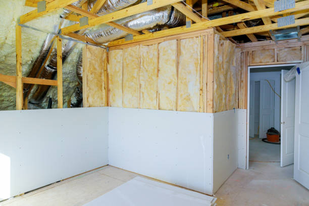 Best Specialty Insulation in Maysville, GA