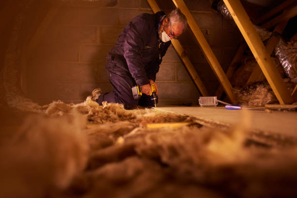 Best Insulation Maintenance and Repair in Maysville, GA